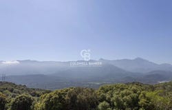 Monticello, Corsica 20220