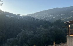 Falicon, Provence-Alpes-Côte-d'Azur 06950