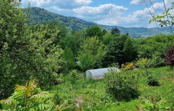 Le Thillot, Lorraine 88160