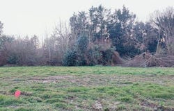 Langrolay-sur-Rance, Brittany 22490