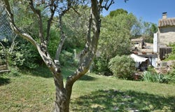 Calvisson, Languedoc-Roussillon 30420