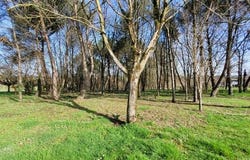 Pirmil, Pays de la Loire 72430