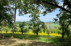 Valeilles, Midi-Pyrénées 82150