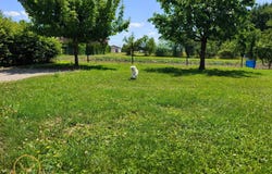 Giffaumont-Champaubert, Marne 51290