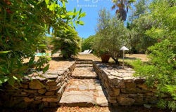 Oletta, Corsica 20232