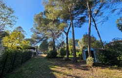 SAINT CLEMENT DE RIVIERE, Occitanie 34980
