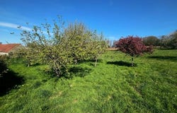 Plouegat-Moysan, Bretagne 29650
