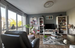 Olivet, Centre 45160