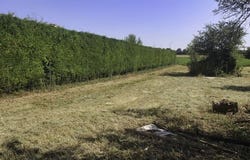 NACHAMPS, Poitou-Charentes 17380