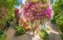 Cannes, Provence-Alpes-Côte-d'Azur 06400