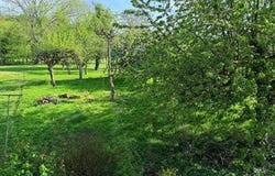 Echenoz-La-Meline, Franche-Comté 70000