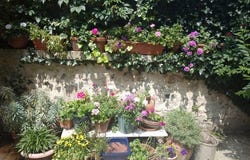Confolens, Charente
