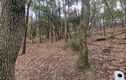 Alairac, Languedoc-Roussillon 11290