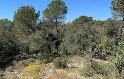 Vaison-la-Romaine, Provence-Alpes-Côte d'Azur 84110