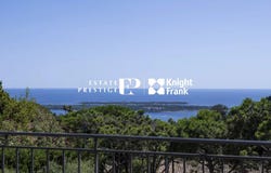 Cannes, Provence-Alpes-Côte-d'Azur 06400