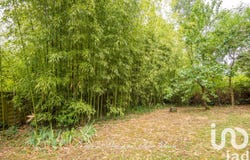 Les Ponts-de-Cé, Pays de la Loire 49130
