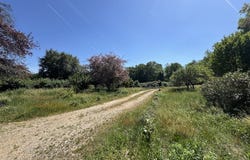 Neuvicq, Poitou-Charentes 17270