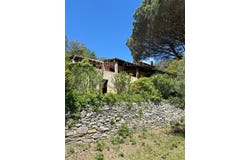 La Garde-Freinet, Provence-Alpes-Côte-d'Azur 83680