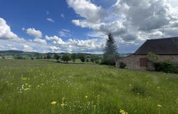 Suin, Burgundy 71220