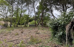 BALIZAC, Nouvelle-Aquitaine 33730