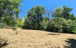Rouffiac-Tolosan, Haute-Garonne 31180