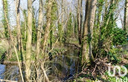 Somme-Suippe, Grand Est 51600
