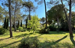 Les Arcs, Var 83460