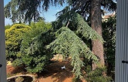 Lodève, Languedoc-Roussillon 34700