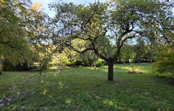 La Roche-Posay, Poitou-Charentes 86270