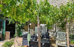 Vincelles, Yonne 89290