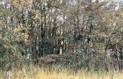 Aulon, Midi-Pyrénées 31420