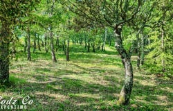Saignon, Provence-Alpes-Côte-d'Azur 84400