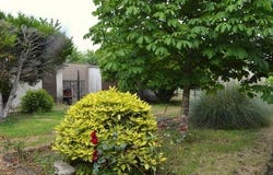 ST VALLIER, Bourgogne 71230