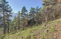 Chateau-Bernard, Rhône-Alpes 38650