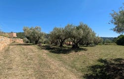 Cotignac, Var 83570
