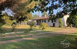 Bazas, Nouvelle-Aquitaine 33430