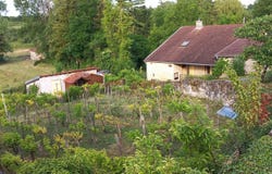 Les Thons, Vosges 88410
