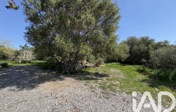 La Palme, Occitanie 11480