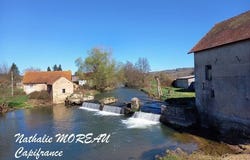 IGORNAY, Bourgogne 71540