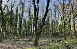 Guer, Bretagne 56380