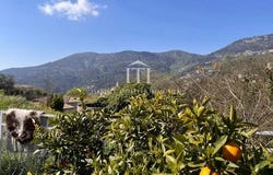 Contes, Alpes-Maritimes 06390