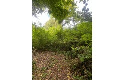 La Motte-Tilly, Grand Est 10400