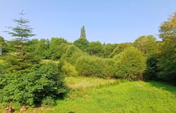 Razès, Nouvelle-Aquitaine 87640