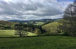 SAVILLY, Bourgogne 21430