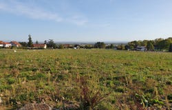 Cernay, Grand Est 68700