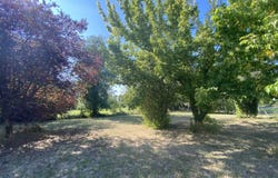 Chalais, Poitou-Charentes 16210