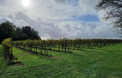 Vanzac, Poitou-Charentes 17500