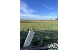Cravant, Centre-Val de Loire 45190