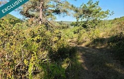 Labastide-Du-Vert, Midi-Pyrénées 46150