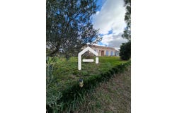 Rieumes, Haute-Garonne 31370